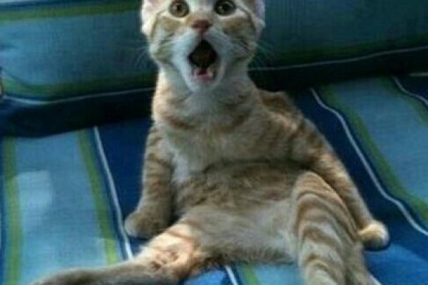 Войти даркнет