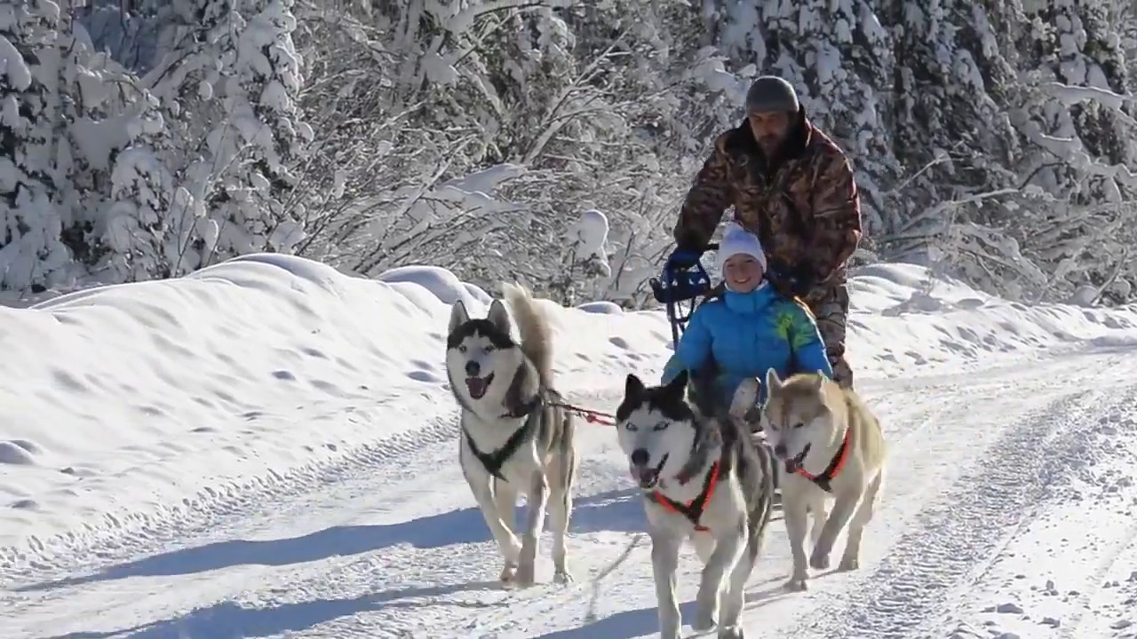 Кракен бошки