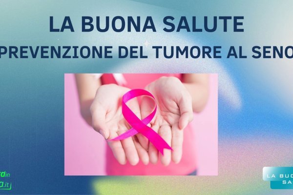 Пользователь не найден кракен