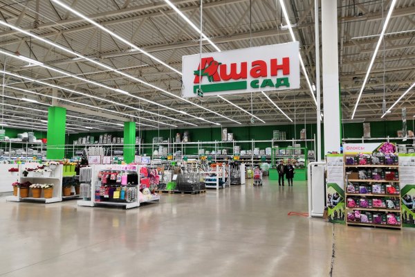 Kraken kraken link24 info